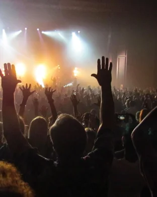 Free Fallin - Tom Petty Tribute