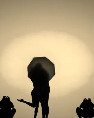 Catapult Shadow Dance