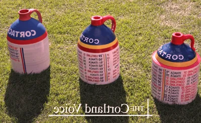 Cortaca Jug