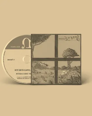 Dirty Projectors Trio