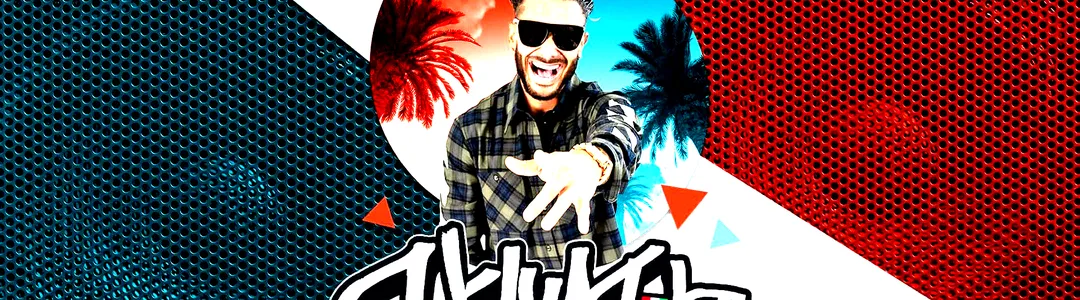 DJ Pauly D