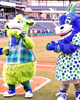 Hartford Yard Goats vs. Binghamton Rumble Ponies