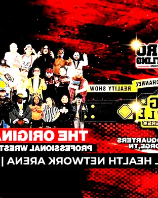 Micro Wrestling Federation