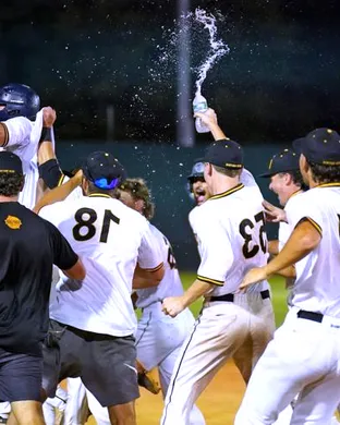 New Britain Bees New Britain