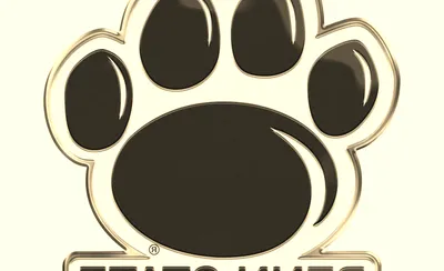 Penn State Nittany Lions