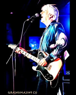 Robyn Hitchcock
