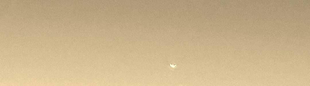 Said The Sky