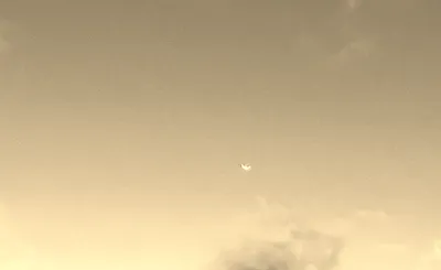 Said The Sky