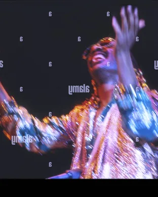 Stevie Wonder