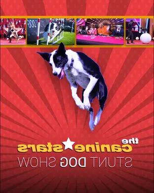 The Canine Stars Stunt Dog Show