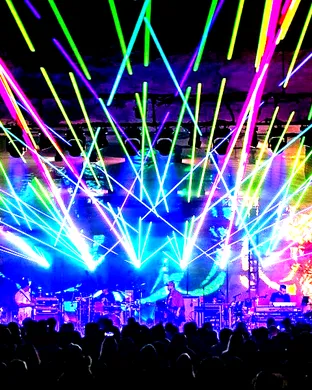The Disco Biscuits