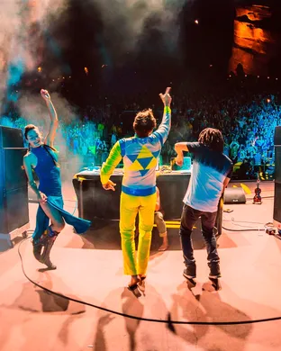 The Polish Ambassador