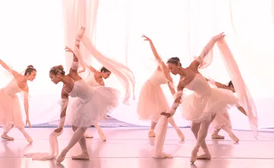 Westchester Ballet