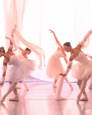 Westchester Ballet Company: Fairytale Classics - Peter and the Wolf & Cinderella theatre performance