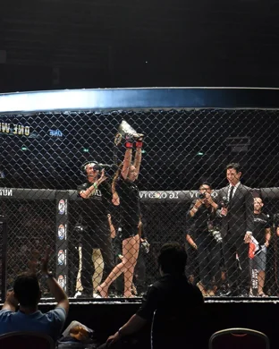 UFC 334: Gane vs. Hokit