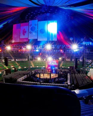 Victory Fighting League