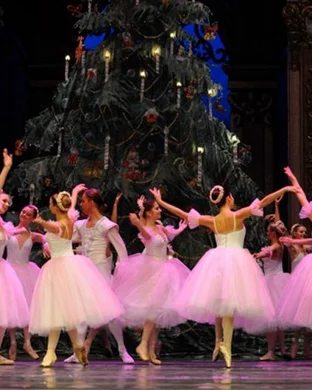 Swan Lake - Symphony of Lights