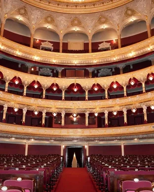 Taconic Opera: Beethoven Symphony No. 9